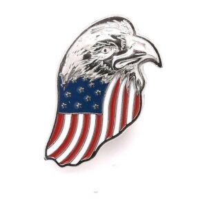Eagle & American Flag snap