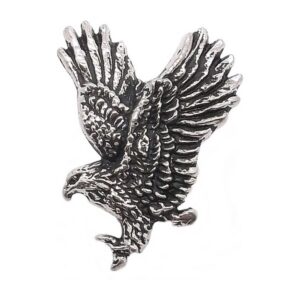 Soaring Eagle snap